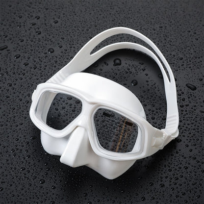 Anti-fog Lens Snorkelling Mask / Dive Goggles